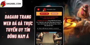 Daga88 trang web đá gà trực tiếp uy tín