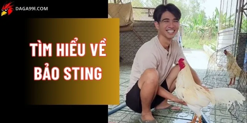 Bảo Sting